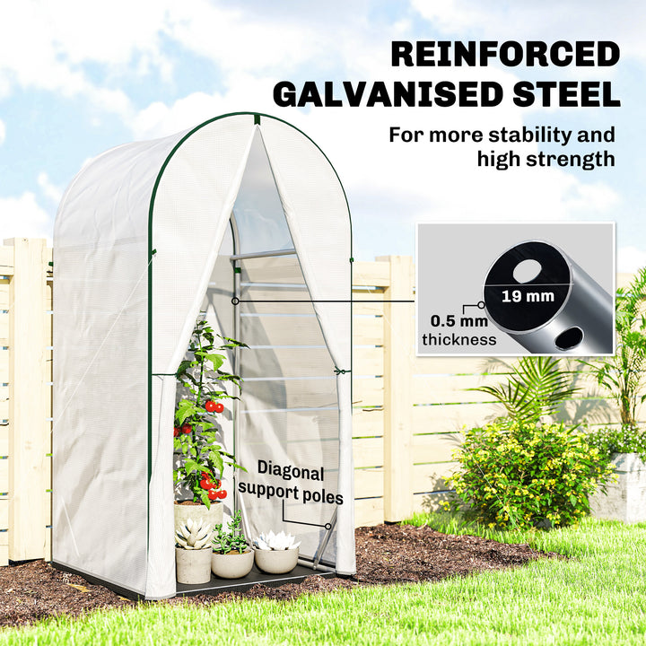 Mini Greenhouse, Portable Green House with Roll-Up Door, PE Base, Small Greenhouse, 100 x 100 x 195 cm