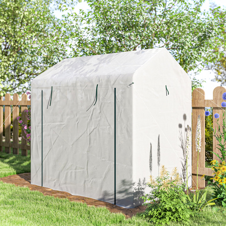 Walk-in Greenhouse, Outdoor Tomato Greenhouse with Roll-up Door and Me