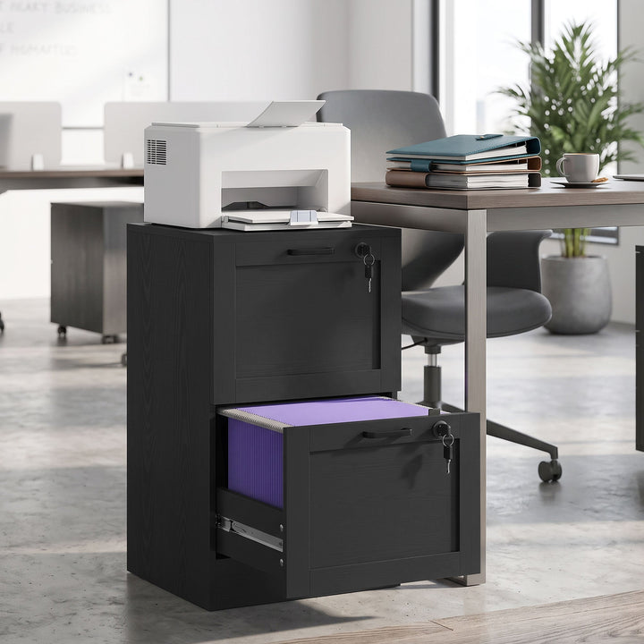 2-Drawer Filing Cabinet with Lock - Black