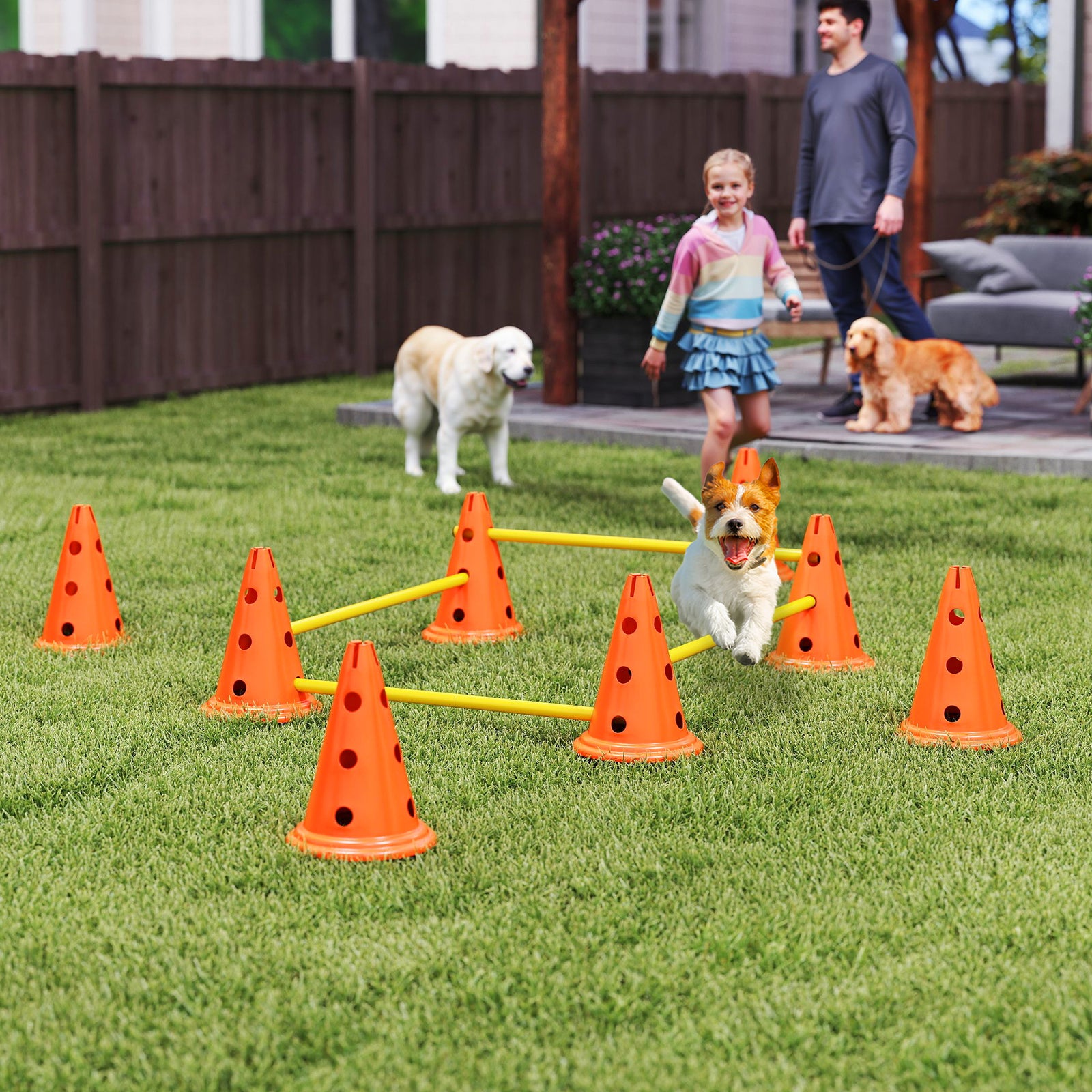 Dog Agility Equipment Set of Eight Cones, Eight Poles w/ Carry Bag, Four-Piece Adjustable Height Jumping Obstacles