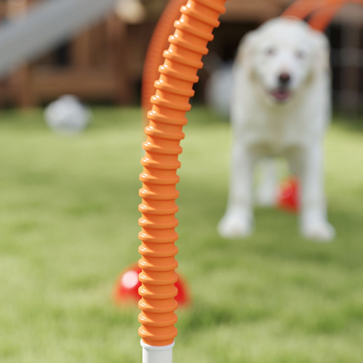 4-Piece Dog Agility Training Equipment with 4 Adjustable Width Doors, Bag, for Garden, Orange