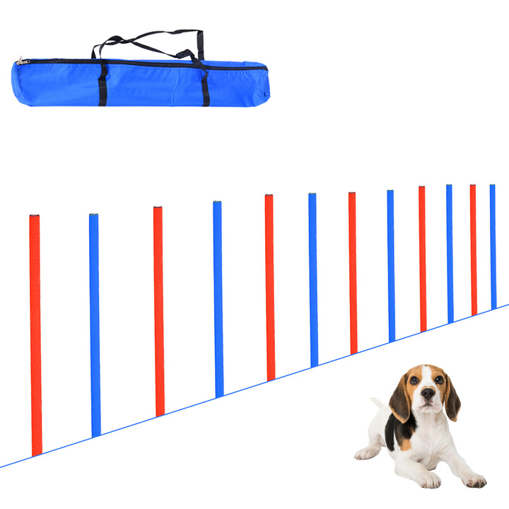 Pawhut Comprehensive Pet Agility Training Set, Outdoor Run and Jump Course Kit for Dogs | Aosom UK