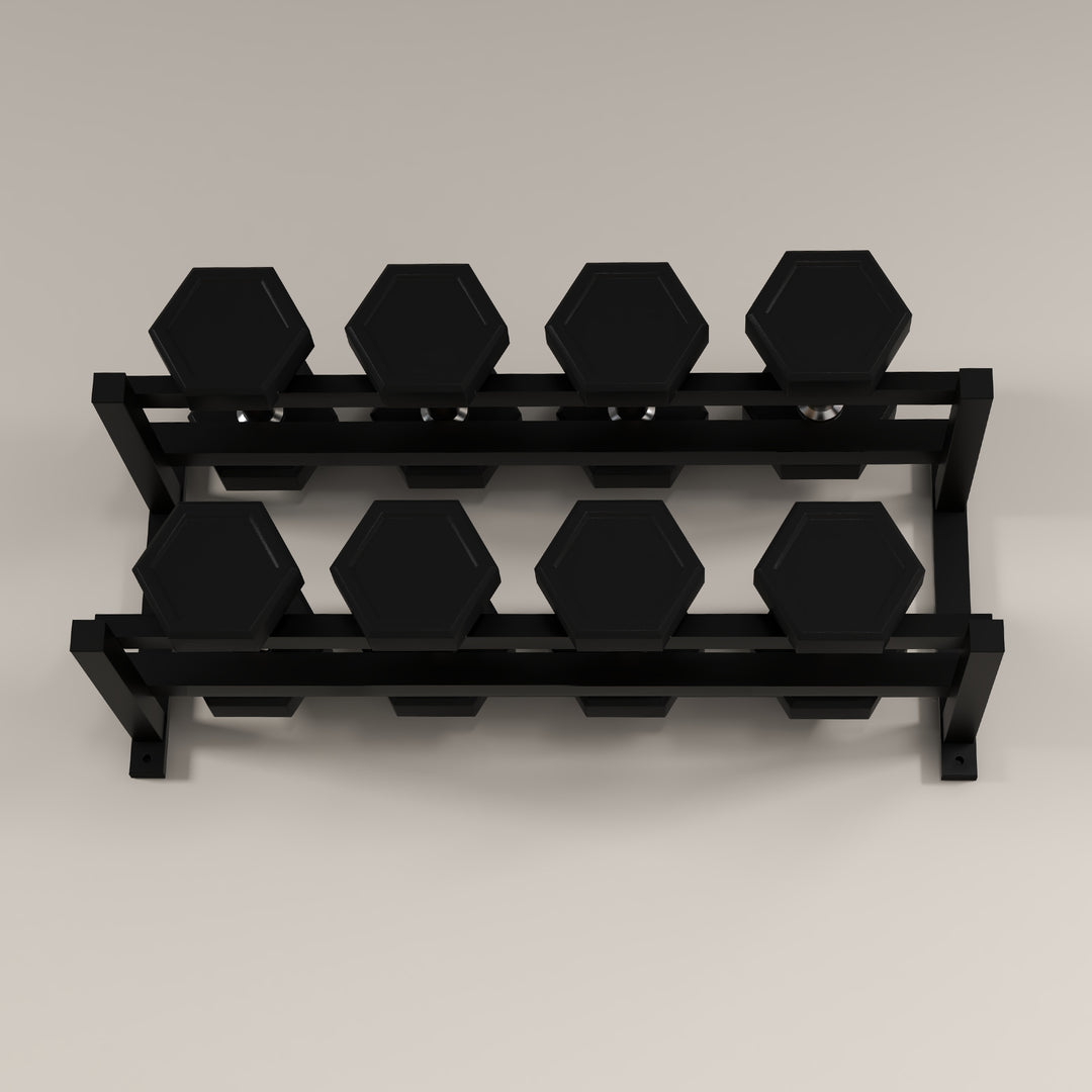 Wall-Mounted Dumbbell Rack, 2-Tier Weight Stand, Space-Saving and Multi-Functional Steel organiser for Home Gym