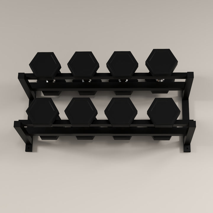 Wall-Mounted Dumbbell Rack, 2-Tier Weight Stand, Space-Saving and Multi-Functional Steel organiser for Home Gym