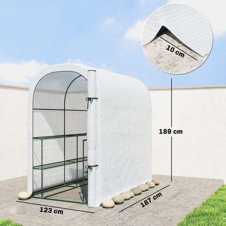 Walk-in Greenhouse with Shelves, Small Greenhouse with PE Cover and Roll-up Door, 123 x 187 x 189 cm