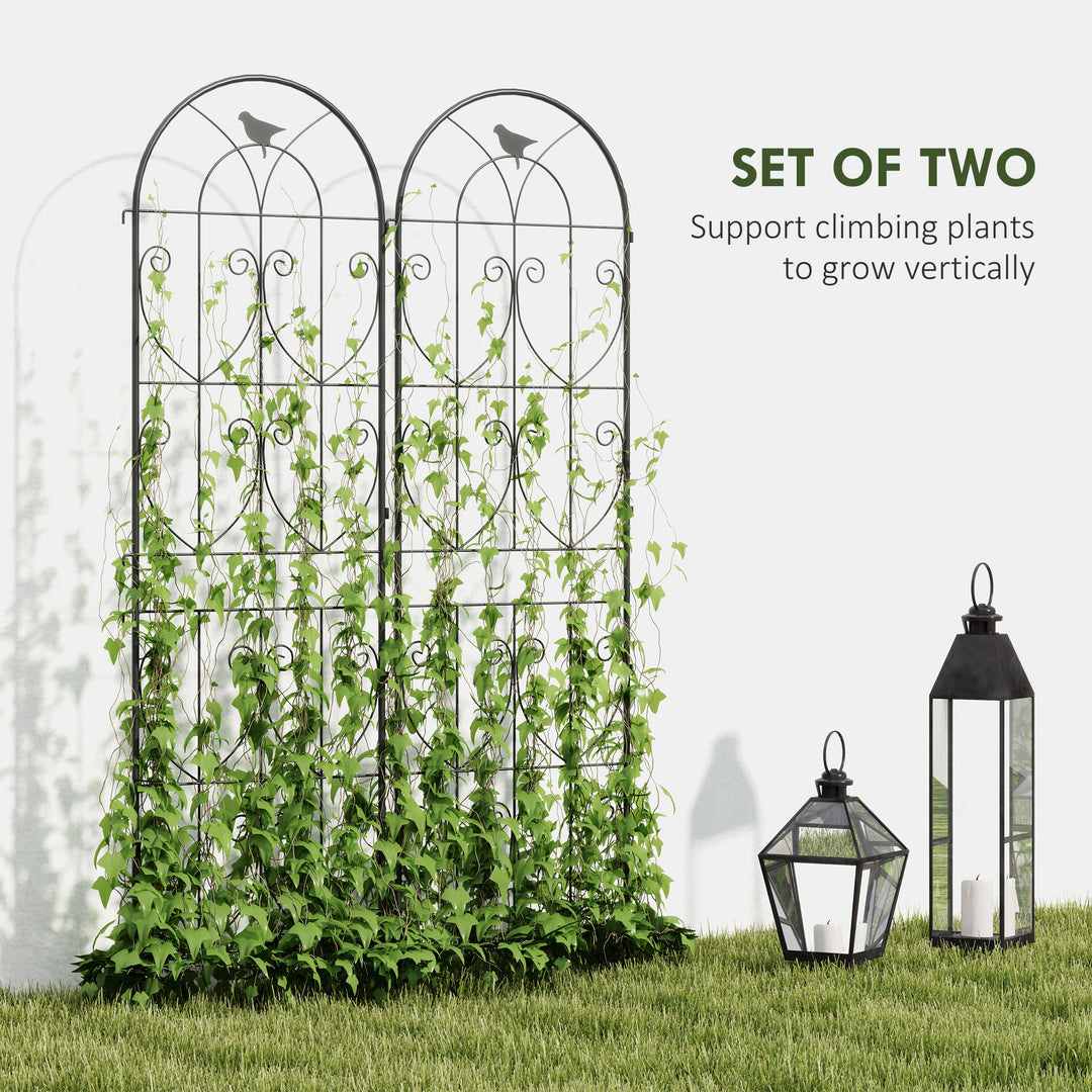Set of 2 Garden Trellis, Metal Fence Panels for Climbing Outdoor Plant