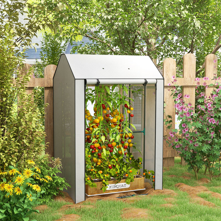 Outsunny Mini Greenhouse with 4 Wire Shelves Portable Garden Grow House Upgraded Tomato Greenhouse with Roll Up Door and Vents, 100 x 80 x