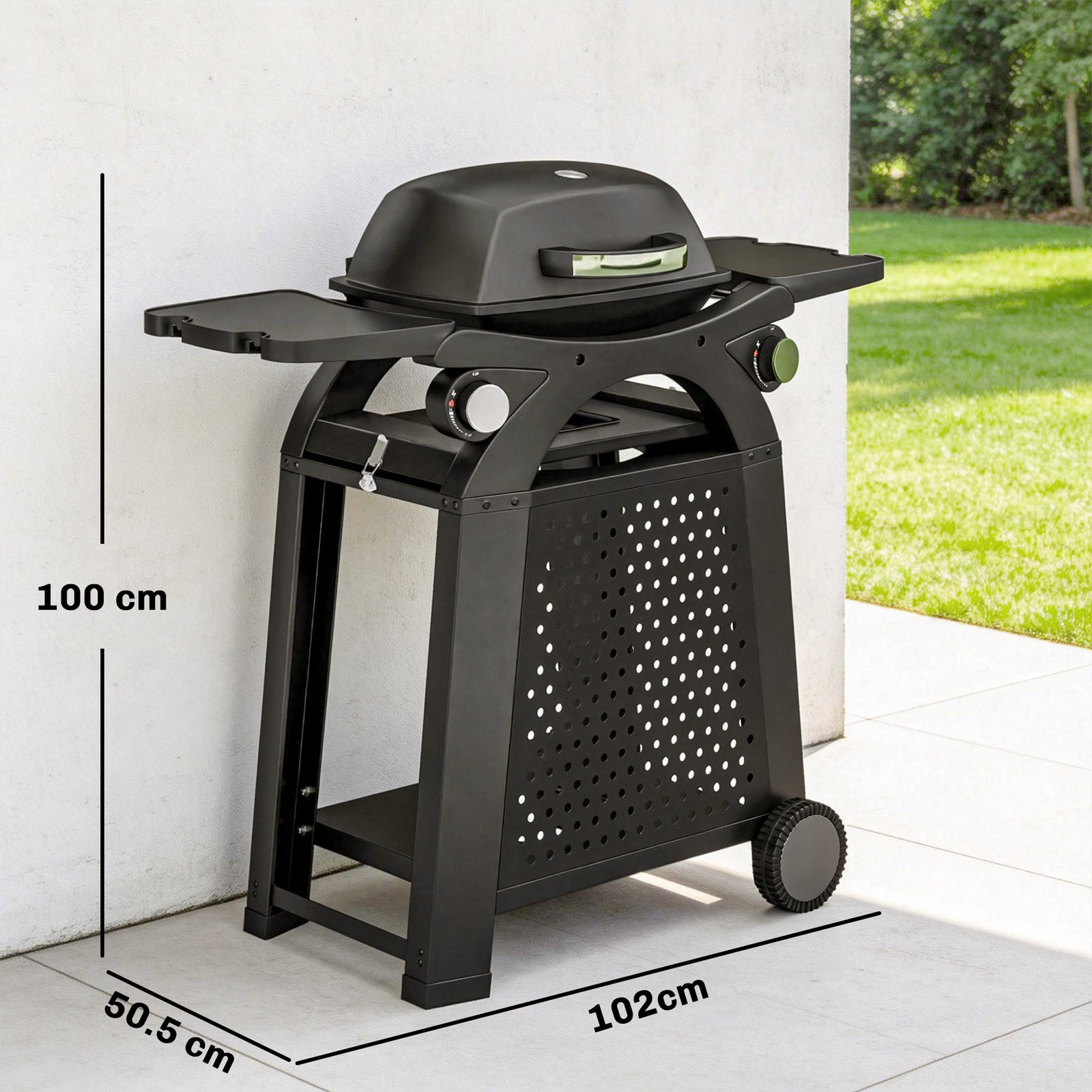2 Burner Gas Grill with 2 Side Tables, 3.8 KW Barbecue Grill with Cast