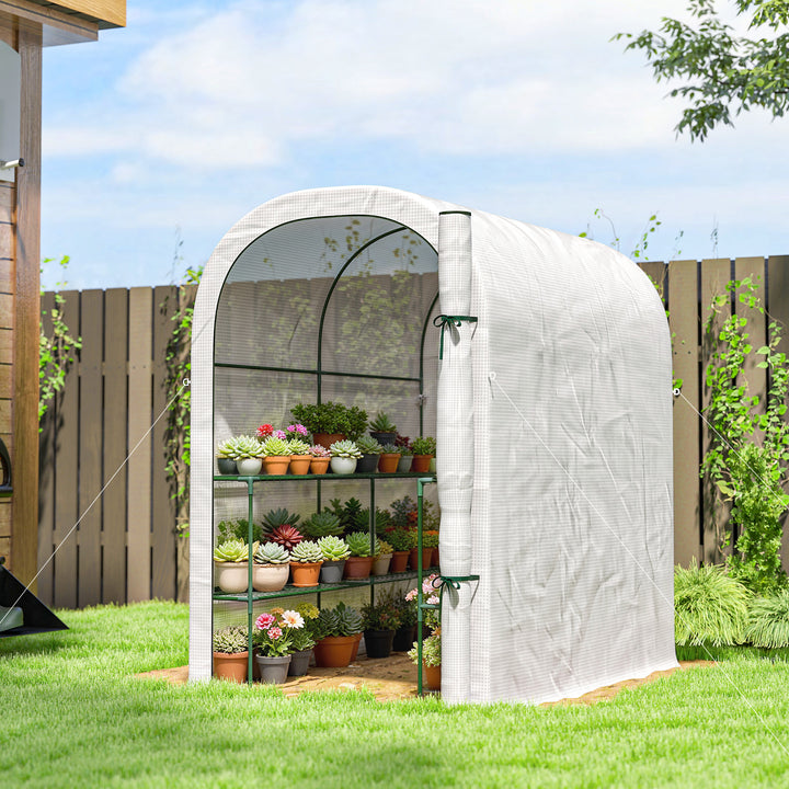 Walk-in Greenhouse with Shelves, Small Greenhouse with PE Cover and Roll-up Door, 123 x 187 x 189 cm
