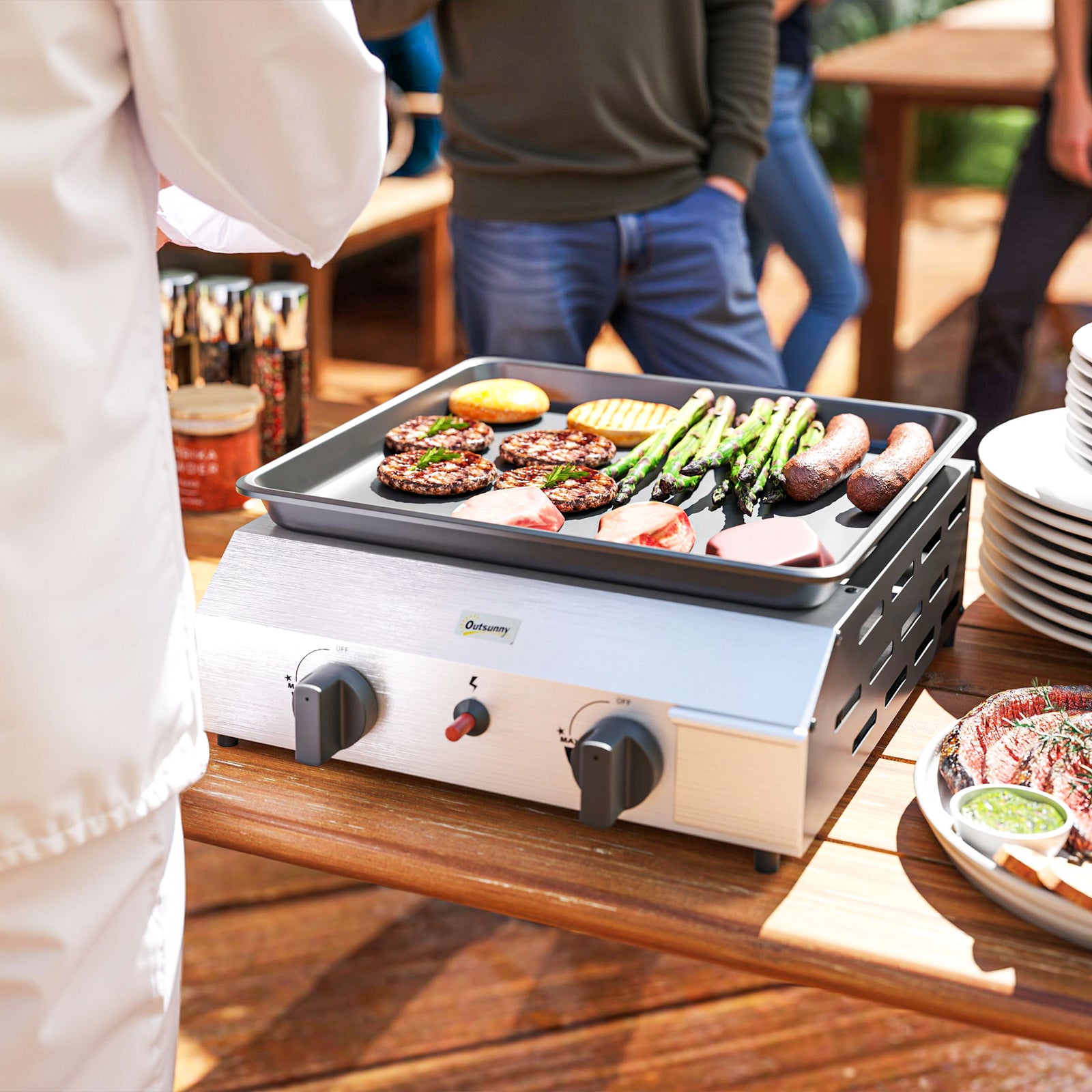 Two Burner Portable Gas Grill