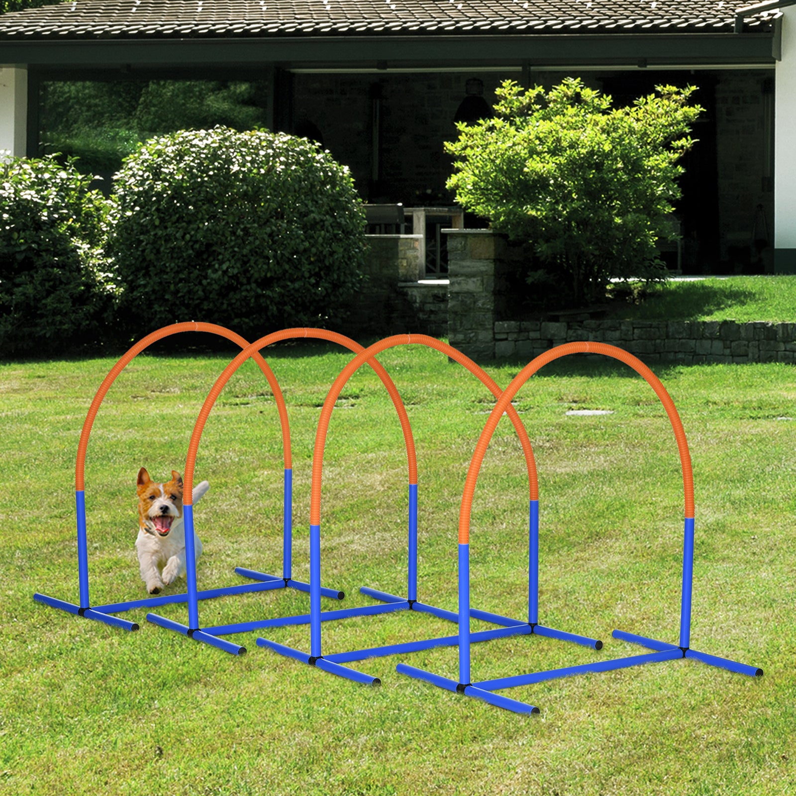 Four-Piece Portable Dog Agility Equipment - Blue