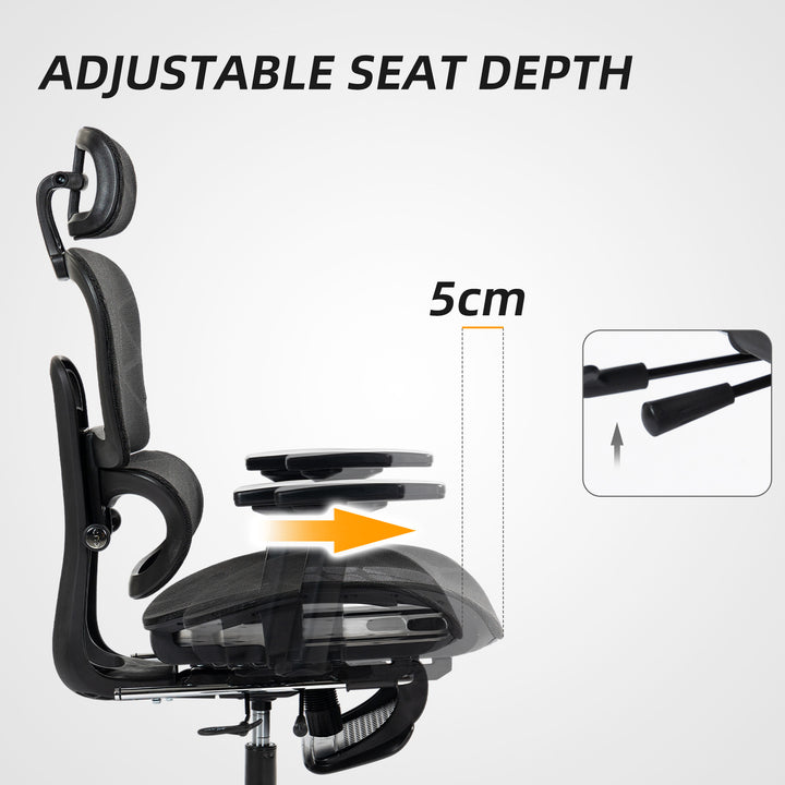 Multi-Adjustable Mesh Office Chair - Black