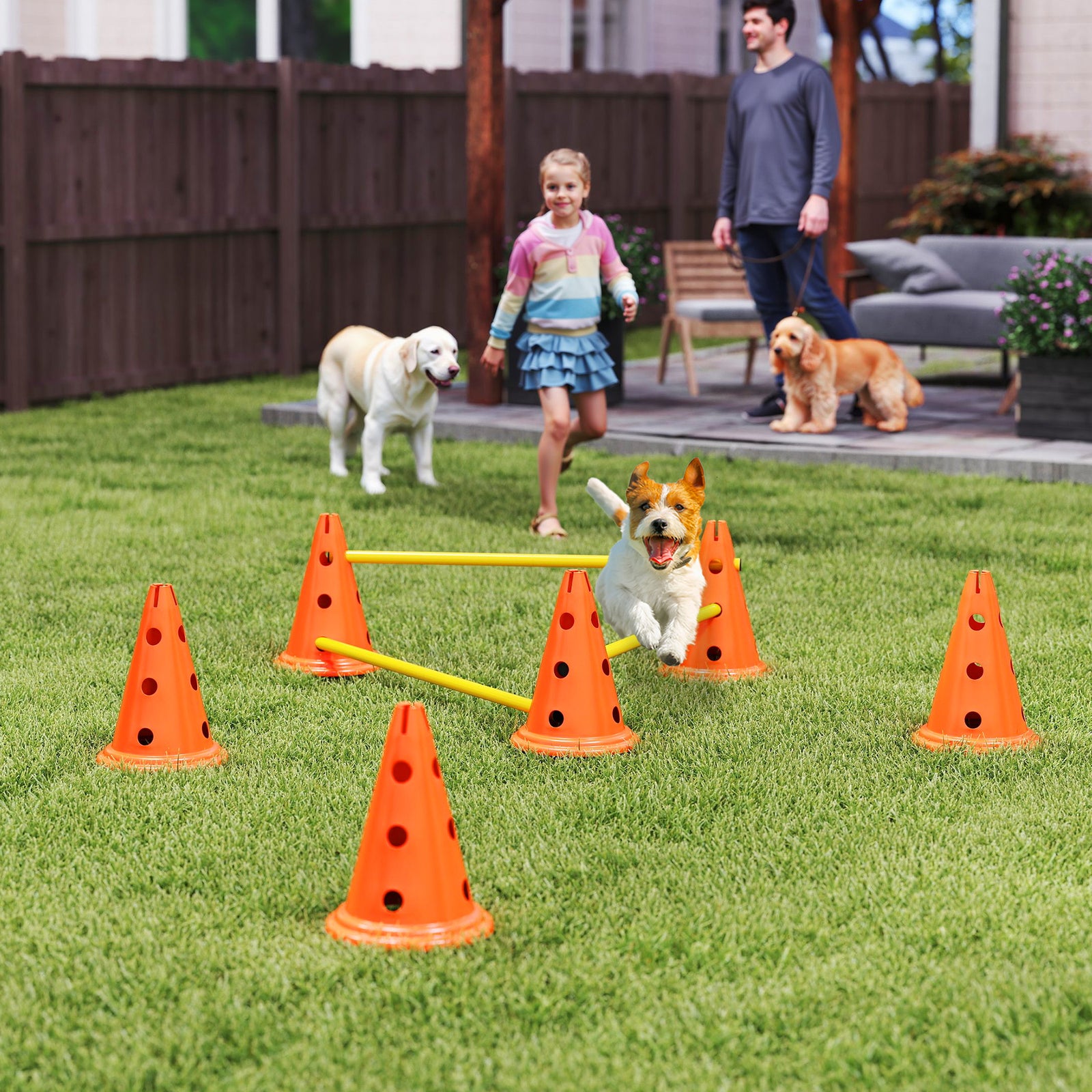Dog Agility Equipment Set of Six Cones, Six Poles with Carry Bag, Three-Piece Adjustable Height Jumping Obstacles Orange