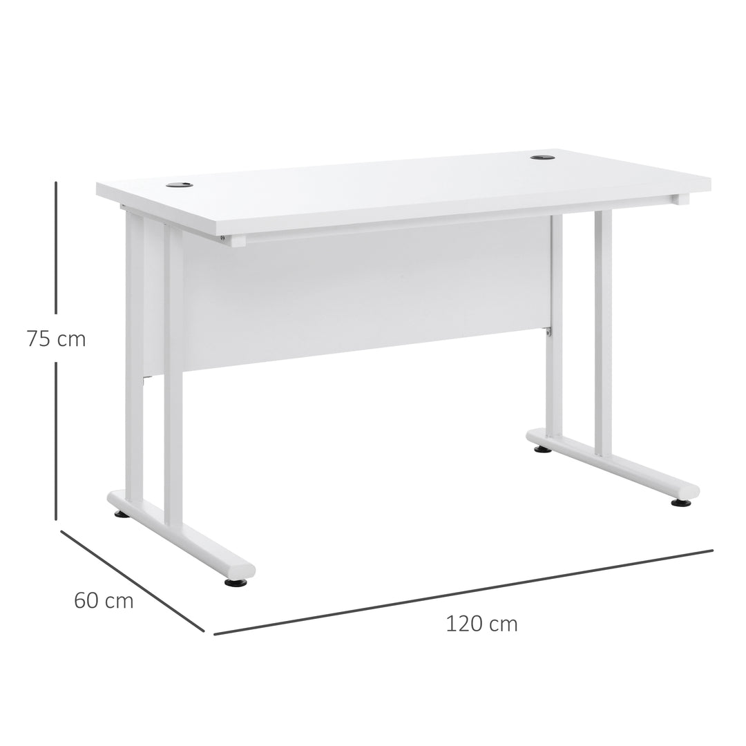 HOMCOM Home Office Computer Desk, 120x60x75cm, C Shaped Metal Legs, 2 Cable Management Holes, Writing Table, White