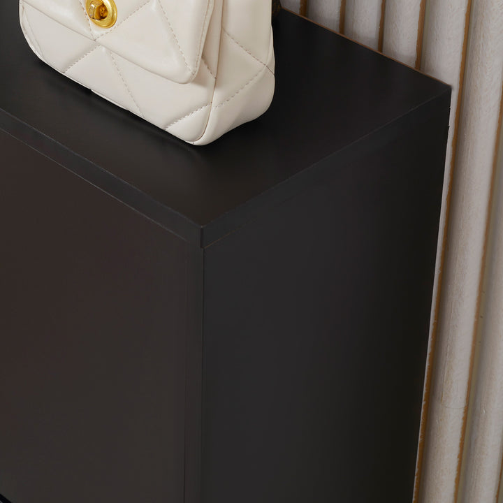 MCL 2 Drawer Shoe Cabinet, Narrow Shoe Storage Cabinet with Flip Doors and Adjustable Shelves, Slim Shoe Cupboard for 12 Pairs of Shoes for Entryway, Hallway, Black