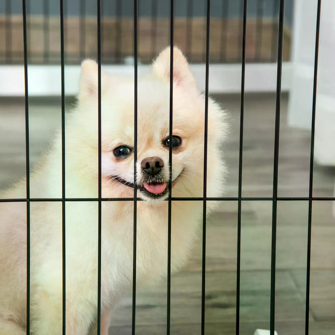 Freestanding Folding Pet Gate 4 Panels Dog Puppy Barrier with Support Feet