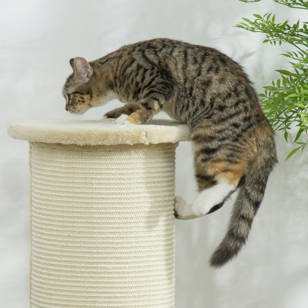 PawHut Cat Scratching Post: 85cm Tall with Sisal Rope, Soft Plush Cover, Anti-Tip Design for Indoor Use, Beige | Aosom UK