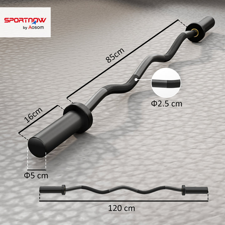 4ft Olympic EZ Curl Bar, Barbell Bar for 2" Weight Plates with Non-Slip Hand Grip 120cm