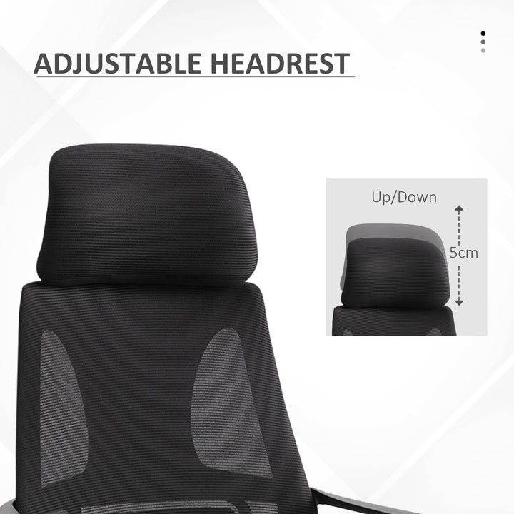 Ergonomic Office Chair, High Back Computer Chair, Mesh Desk Chair with Lumbar Support, Headrest, Wheel, Adjustable Height, Black