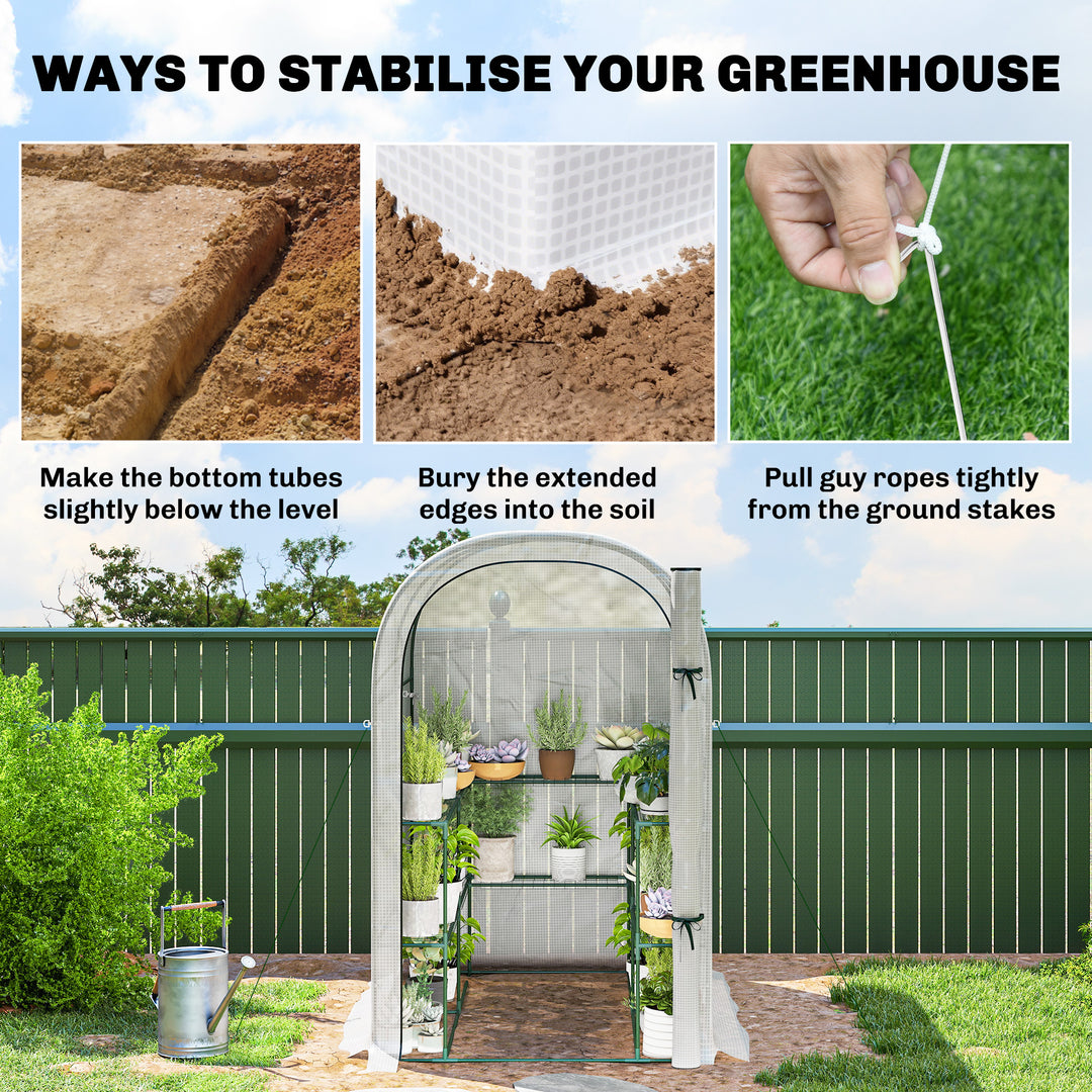 Walk-in Greenhouse with Shelves, Small Greenhouse with PE Cover and Roll-up Door, 123 x 187 x 189 cm
