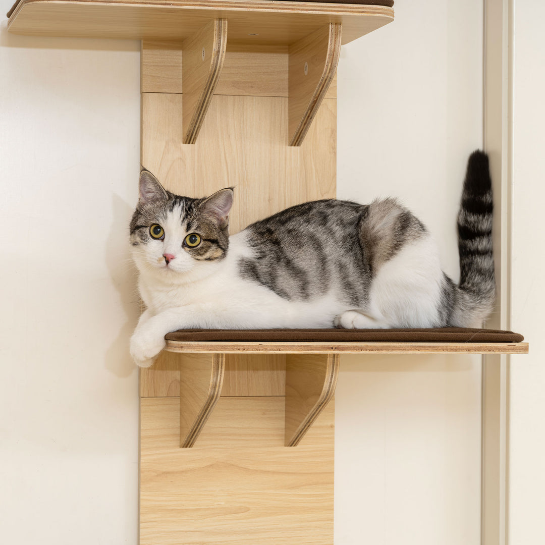 4-Level Door Mounted Cat Tree with Washable Plush Mats, Toy Balls, Doo