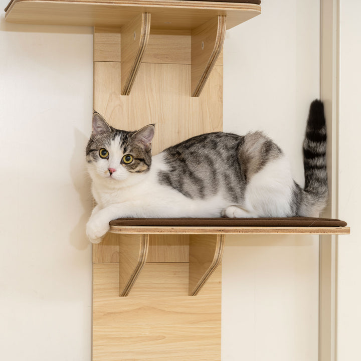 4-Level Door Mounted Cat Tree with Washable Plush Mats, Toy Balls, Doo