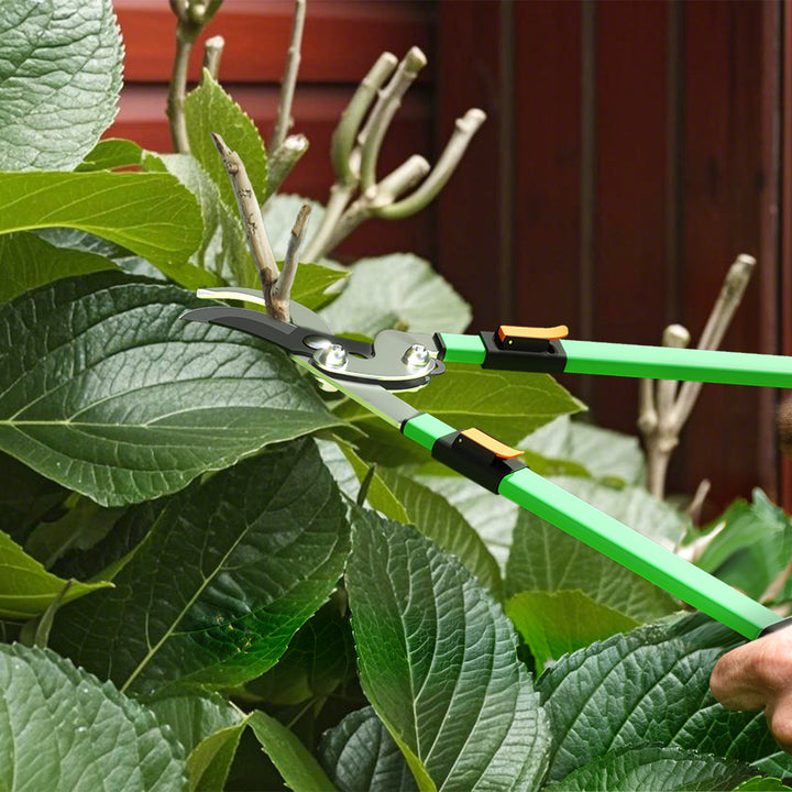 2 Pcs Garden Shears Set, Tree Lopper, Hedge Shears with Telescopic Extendable Handles, Garden Shears for Hedges, Shrubs and Bushes, Lightweight Shrub Care Kit for Cutting, Trimming