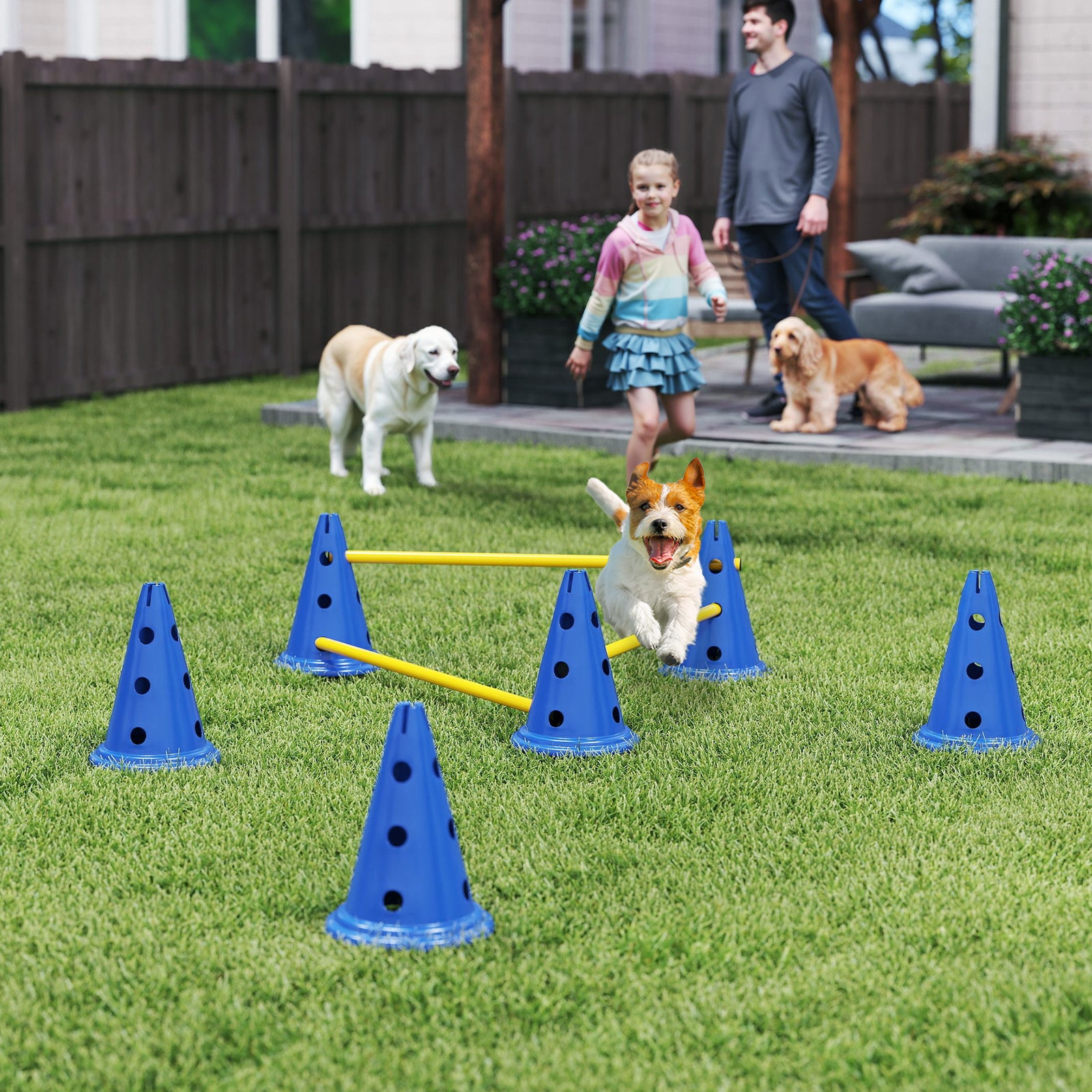 Dog Agility Equipment Set of Six Cones, Six Poles with Carry Bag, Three-Piece Adjustable Height Jumping Obstacles, Blue