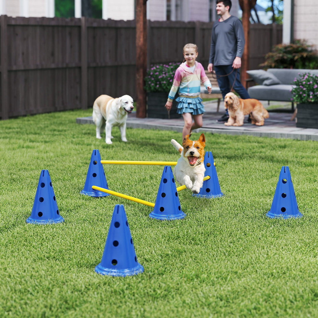 Dog Agility Equipment Set of Six Cones, Six Poles with Carry Bag, Three-Piece Adjustable Height Jumping Obstacles