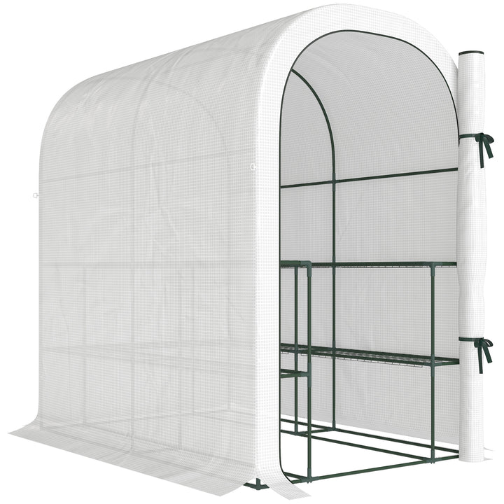 Walk-in Greenhouse with Shelves, Small Greenhouse with PE Cover and Roll-up Door, 123 x 187 x 189 cm