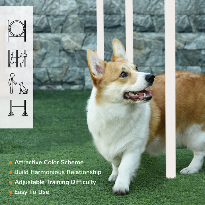 Dog Agility Training Equipment for Dogs with Carry Bag - Multicoloured