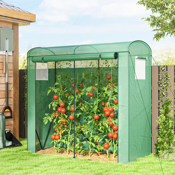Mini Greenhouse, Garden Tomato Growhouse with Roll-Up Door and 2 Mesh 