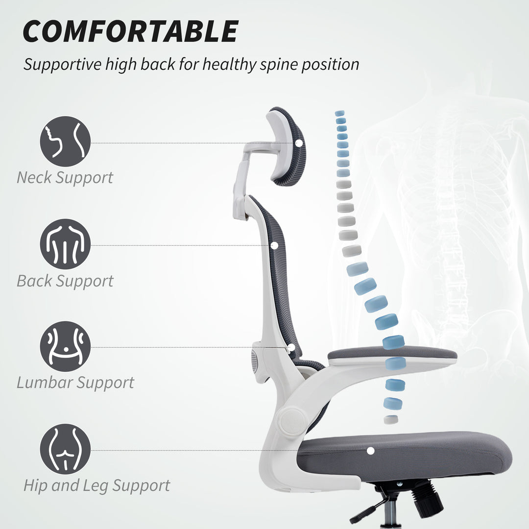 Mesh Back Office Chair, with Lumbar Support - Charcoal Grey