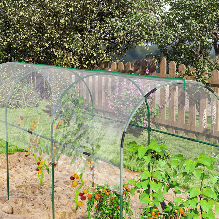 Tunnel Tomato Greenhouse with 4 Hoops and Top Tap, Pointed Bottom and Guy Ropes, 400 x 123 x 171 cm, Clear