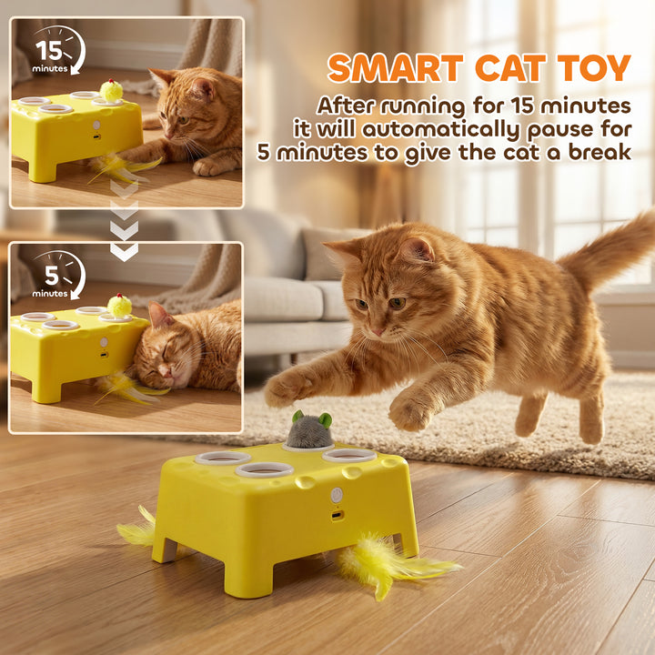 3 in 1 Interactive Cat Toys with Mouse &amp; Feather Teaser Toy Rechargeab