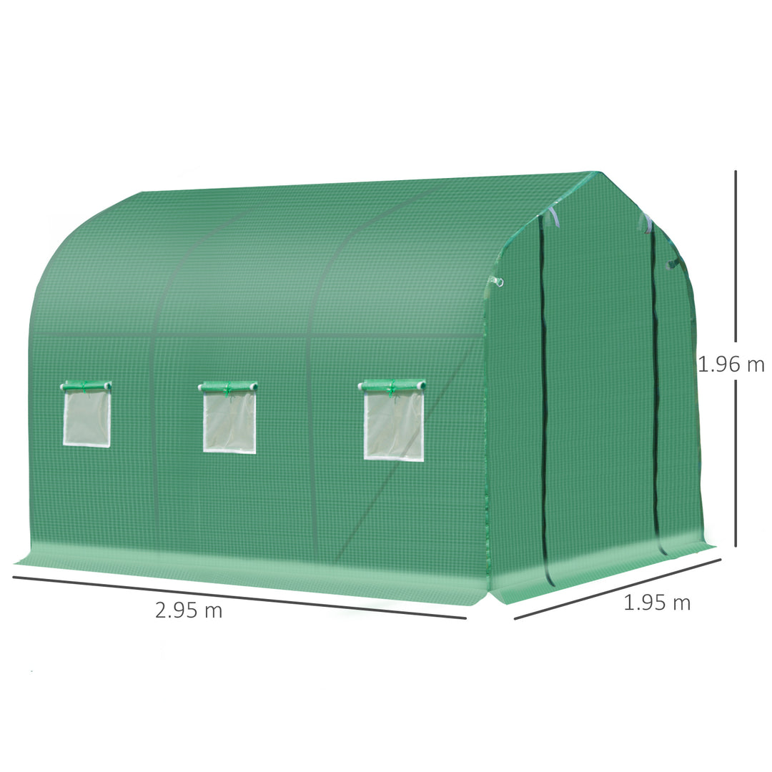 Polytunnel Greenhouse with Windows and Door, Walk in Greenhouse for Garden, Backyard (3 x 2 M)