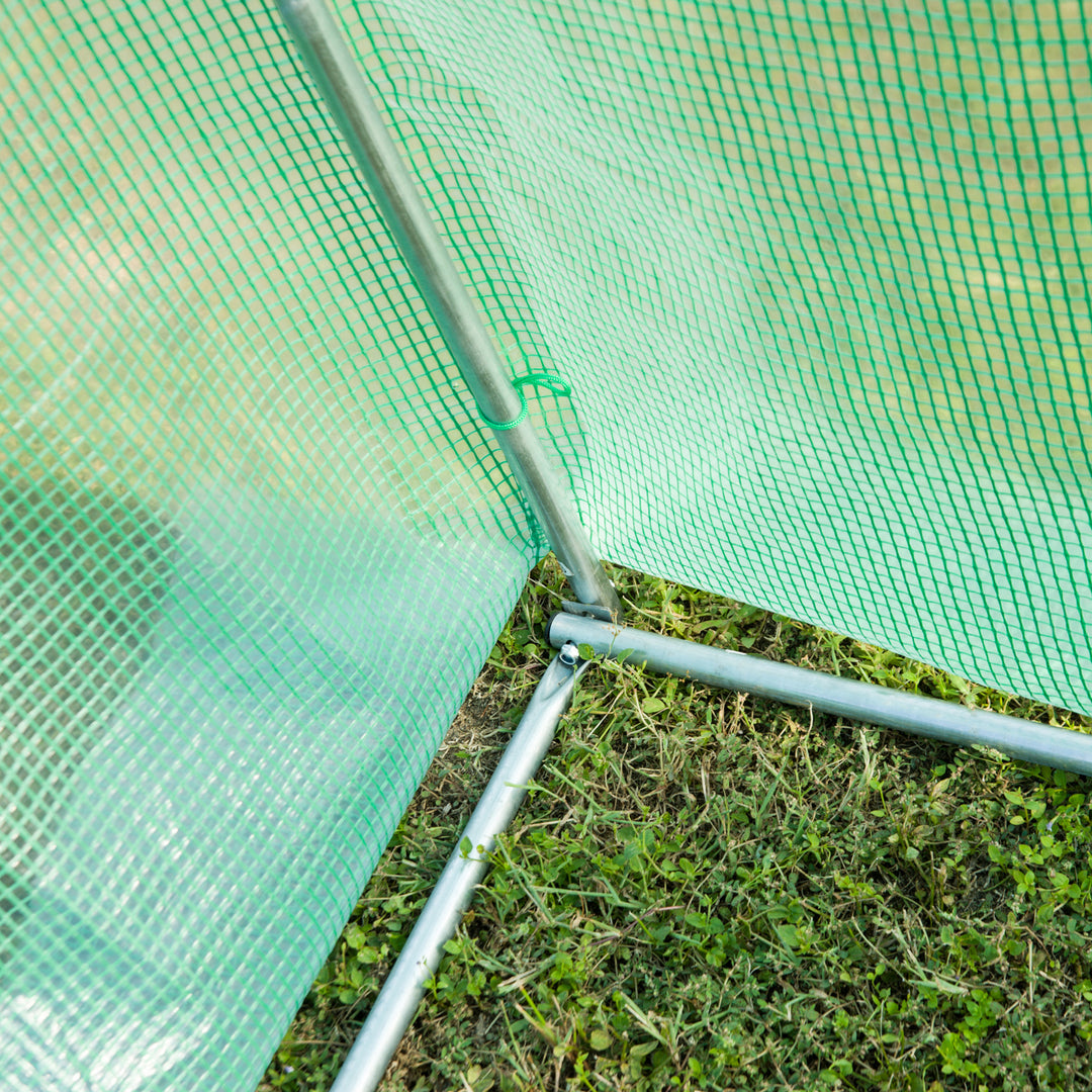 Polytunnel Greenhouse with Windows and Door, Walk in Greenhouse for Garden, Backyard (3 x 2 M)