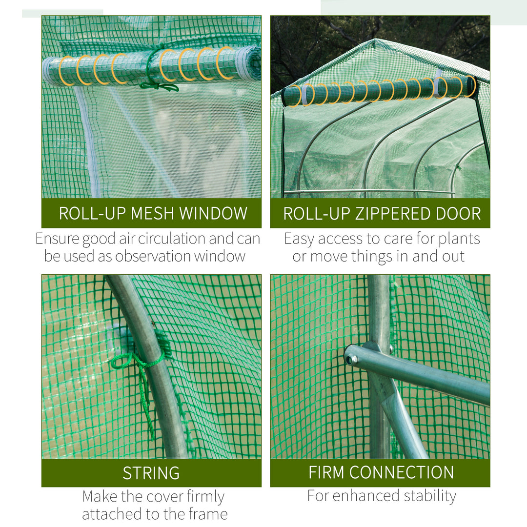 Polytunnel Greenhouse with Windows and Door, Walk in Greenhouse for Garden, Backyard (4 x 2 M)