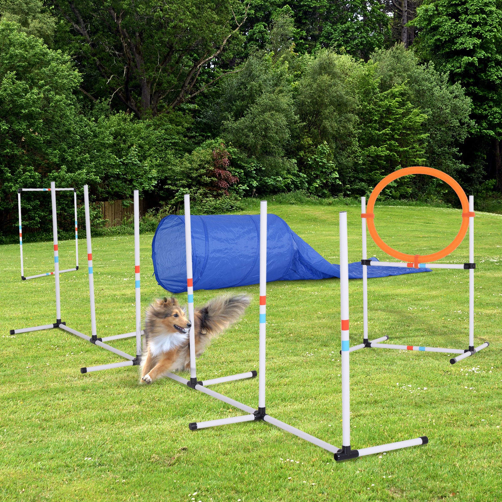 Dog Agility Equipment Training Set Carry Bag Adjustable (Pole + Hoop + Hurdle+Tunnel + Pause Box)