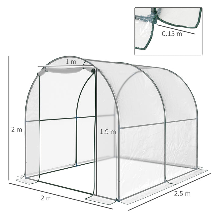 Walk-in Polytunnel Greenhouse with Roll-up Door Transparent Tunnel Greenhouse with Steel Frame and PVC Cover, 2.5 x 2m