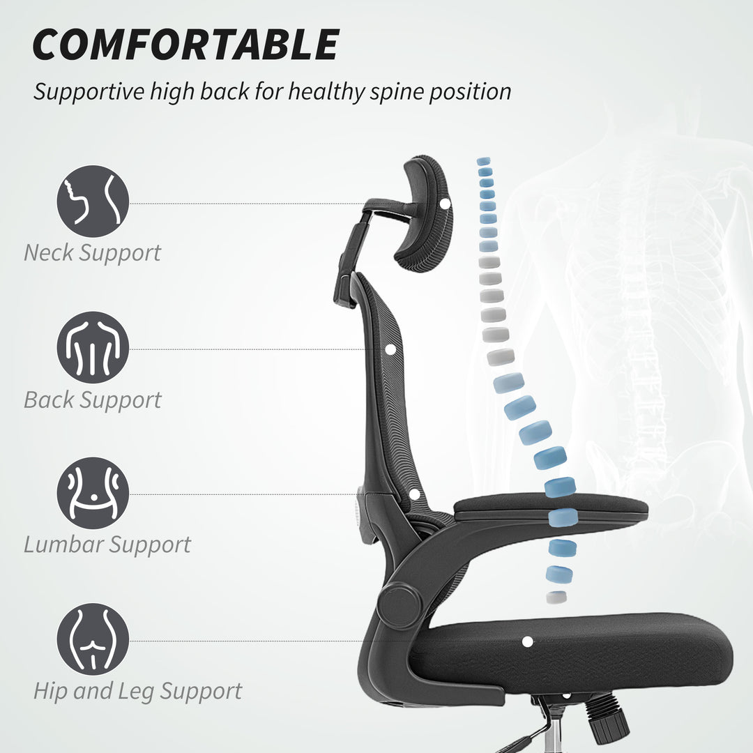 Mesh Back Office Chair, with Lumbar Support - Black