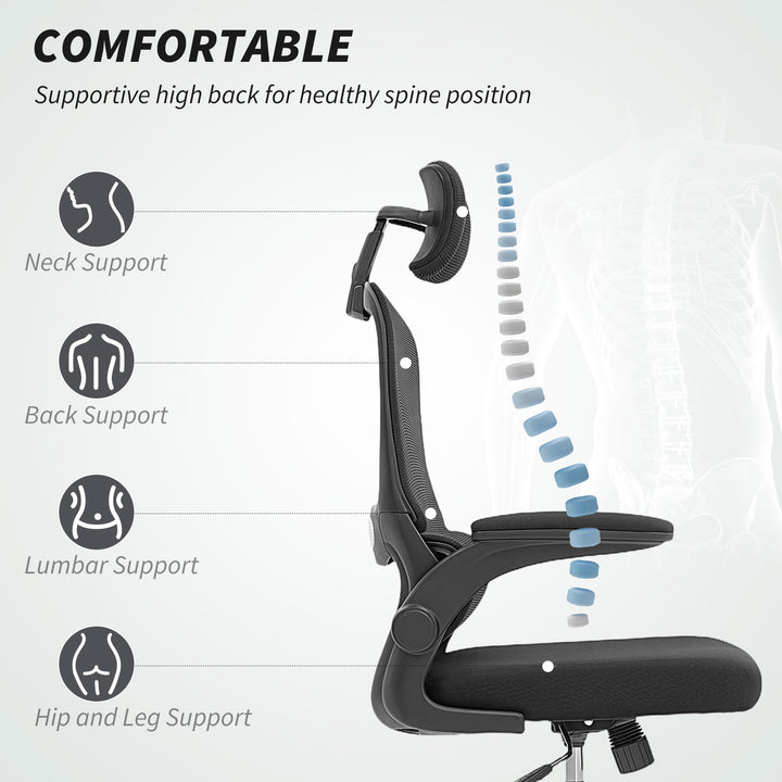 Mesh Back Office Chair, with Lumbar Support - Black