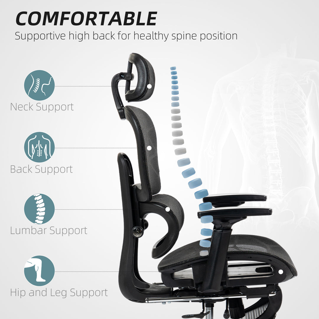 Multi-Adjustable Mesh Office Chair - Black