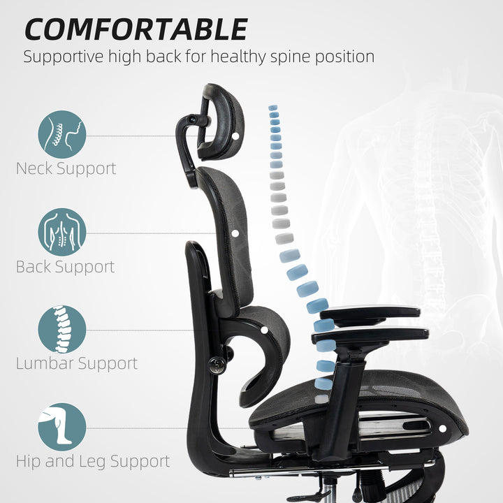 Multi-Adjustable Mesh Office Chair - Black