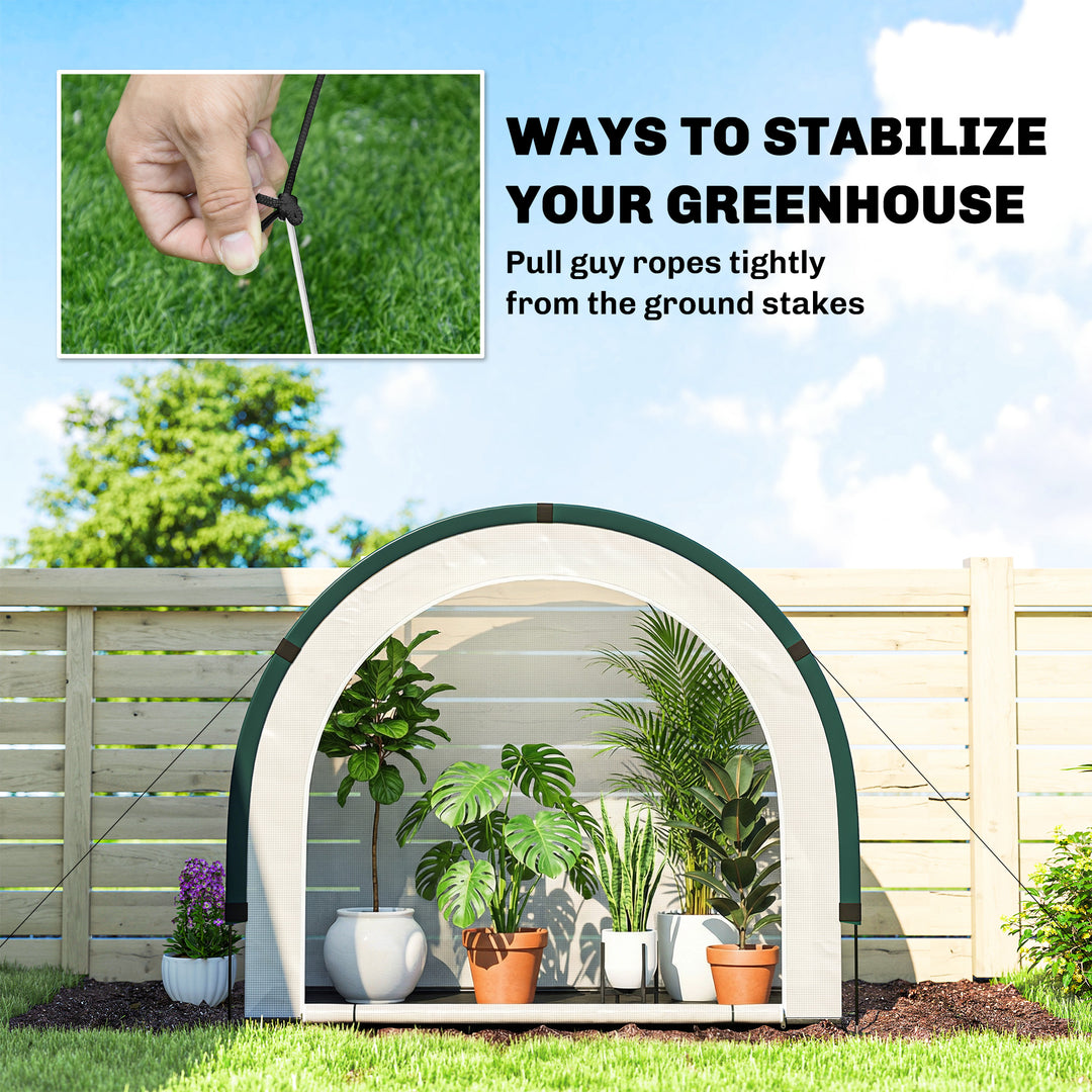 Foldable Small Greenhouse, Portable Green House Mini Greenhouse with Zipper Door, PE Base, 200 x 80 x 164 cm