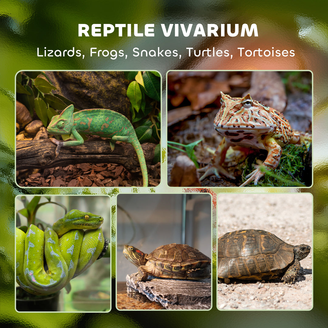 Reptile Glass Terrarium with Stone Background, Front Ventilation, Escape-Proof Knob Lock, 50 x 30 x 35 cm, Black