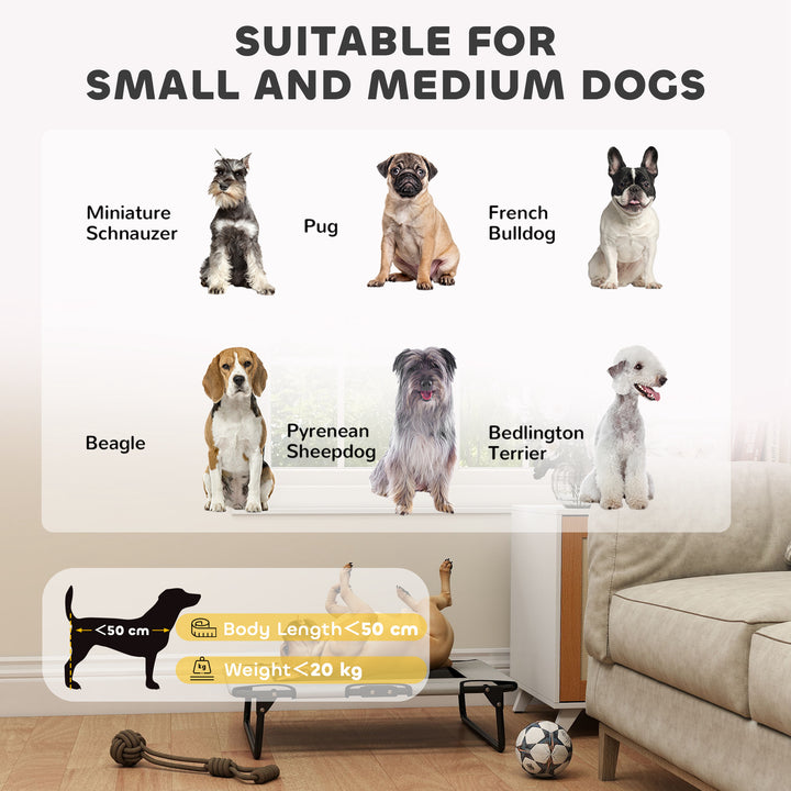 Portable Raised Dog Bed, Elevated Pet Cot with Breathable Mesh for Indoor Outdoor, for Small Medium Dogs, Light Grey