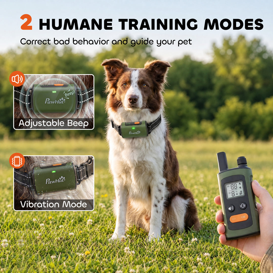 Dog Training Collar with 3200Ft Remote Range, Anti Barking Device with