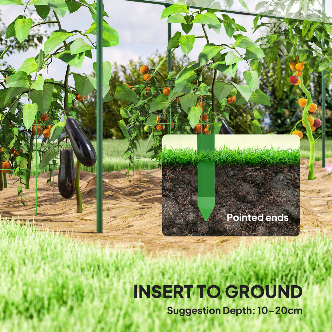 Tunnel Tomato Greenhouse with 4 Hoops and Top Tap, Pointed Bottom and Guy Ropes, 400 x 123 x 171 cm, Clear