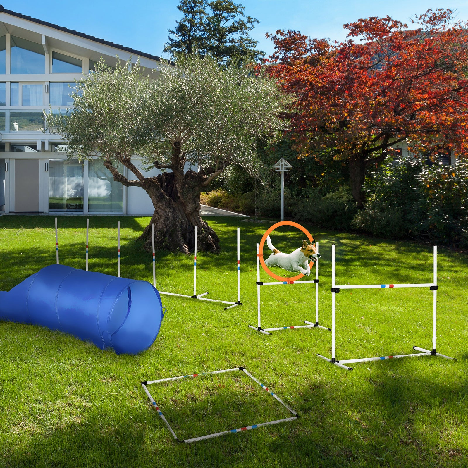 Dog Agility Equipment Training Set Carry Bag Adjustable (Pole + Hoop + Hurdle+Tunnel + Pause Box)